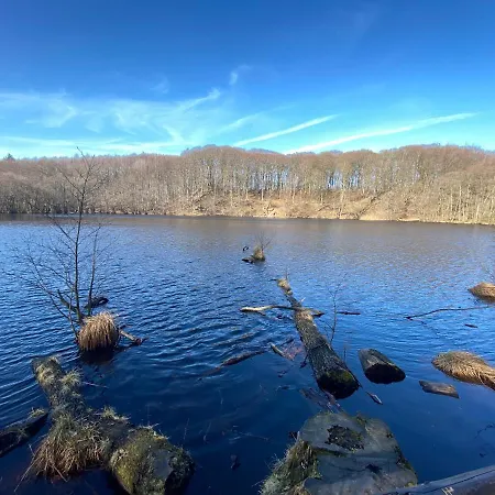 Ms Bernstein Apartment