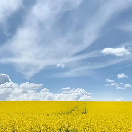 Apartment Ms Bernstein